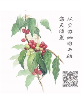 “贝浓“挂耳咖啡包便携式咖啡